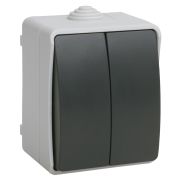 ФОРС Выключатель двухклавишный наружный IP54
